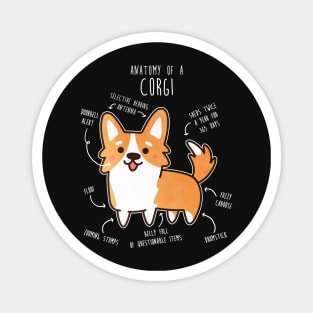 Corgi Red Dog Anatomy Magnet